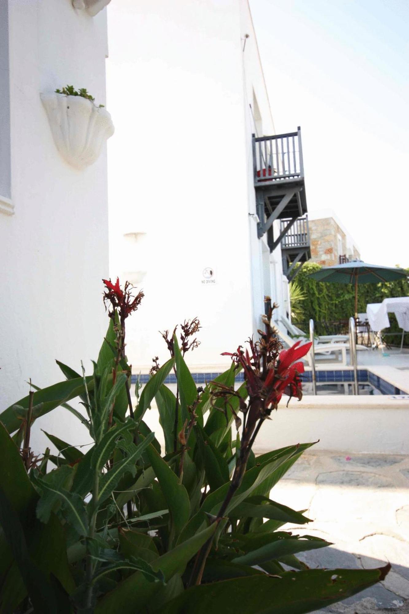 Emelce Apart Bodrum Exterior photo